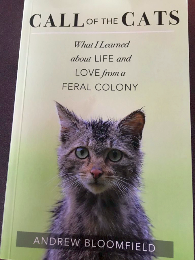Call of the Cats: What I Learned About Life and Love From a Feral Colony by Andrew Bloomfield