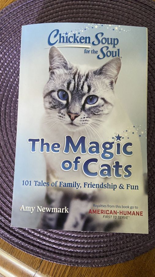 Chicken Soup for the Soul: The Magic of Cats