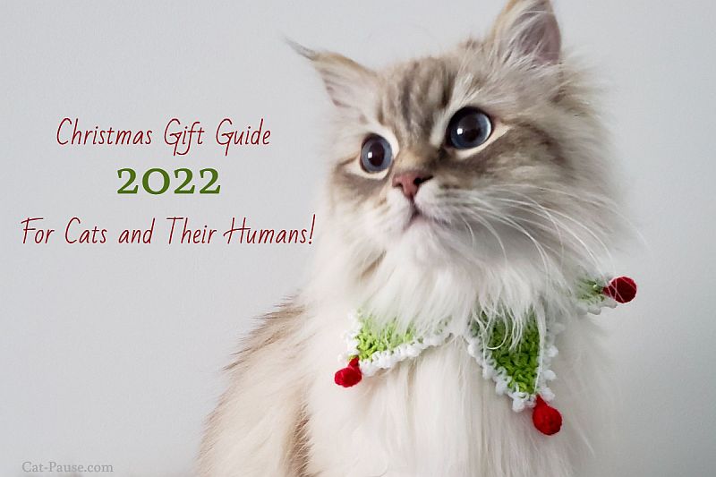 Christmas Gift Guide for Cats and Cat Lovers 2022